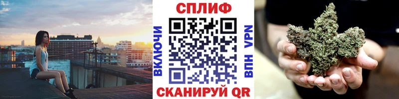 как найти закладки  Новосокольники  Конопля индика 
